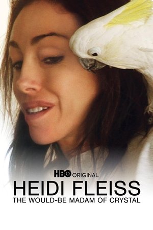 Watch Free Heidi Fleiss: The WouldBe Madam of Crystal (2008)