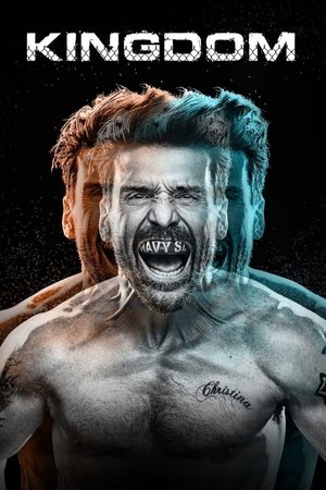 Watch Free Kingdom (20142017)