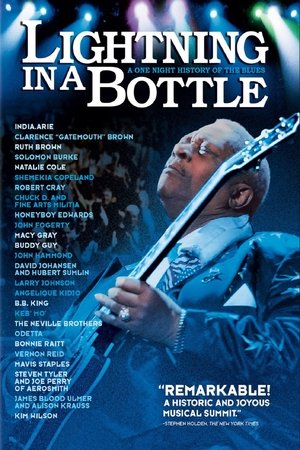 Watch Free Lightning in a Bottle (2004)