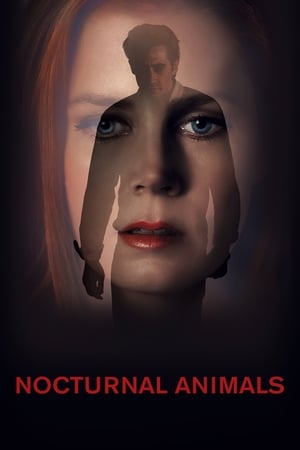 Watch Free Nocturnal Animals (2016)