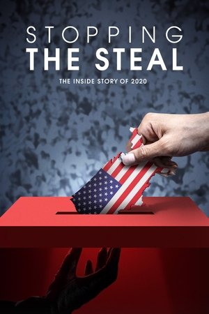 Watch Free Stopping the Steal (2024)