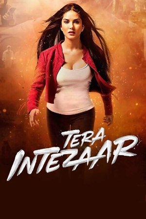 Watch Free Tera Intezaar (2017)