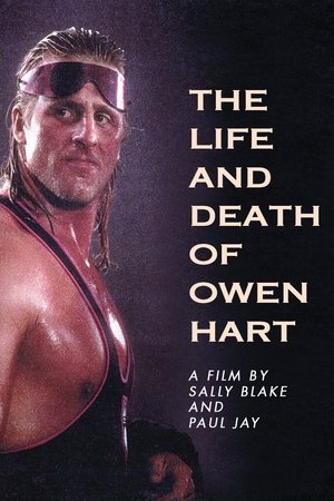 Watch Free The Life and Death of Owen Hart (1999)