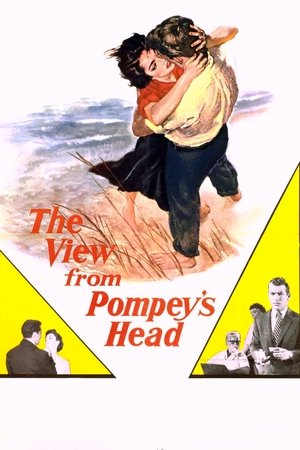 Watch Free The View from Pompeys Head (1955)