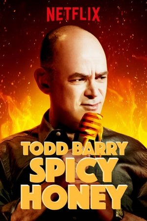 Watch Free Todd Barry: Spicy Honey (2017)