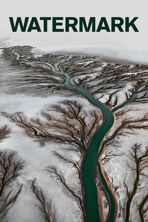 Watch Free Watermark (2013)