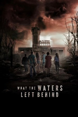 Watch Free What the Waters Left Behind (2017)