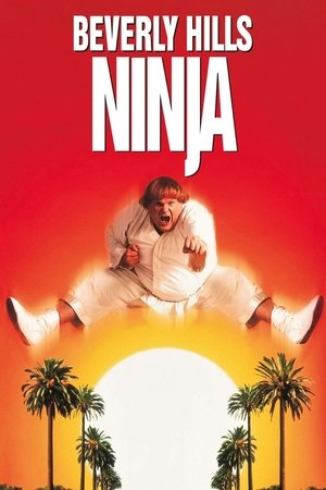 Watch Free Beverly Hills Ninja (1997)