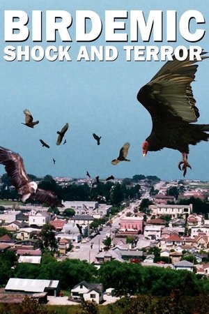 Watch Free Birdemic: Shock and Terror (2010)