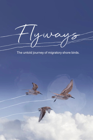 Watch Free Flyways the untold journey of migratory shorebirds (2023)