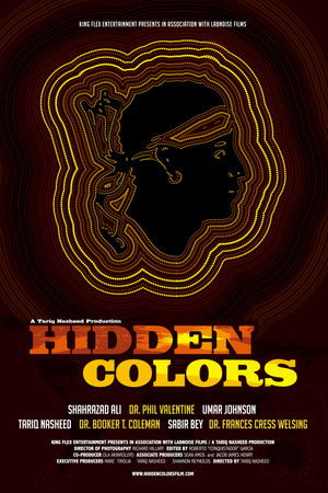 Watch Free Hidden Colors (2011)