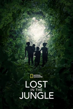 Watch Free Lost in the Amazon (2024)