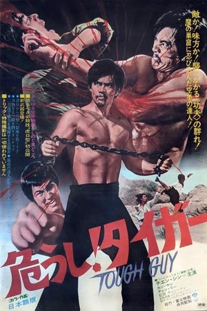 Watch Free Kung Fu Master Bruce Lee Style (1972)