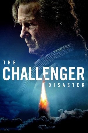 Watch Free The Challenger Disaster (2013)