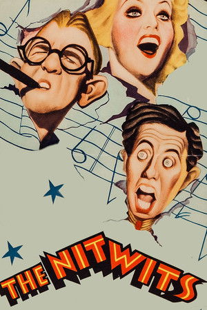 Watch Free The Nitwits (1935)