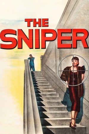 Watch Free The Sniper (1952)