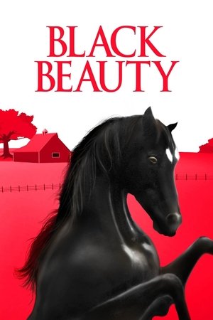 Watch Free Black Beauty (1971)