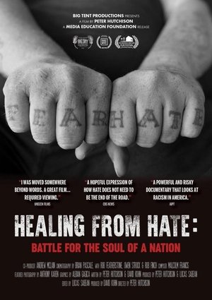 Watch Free Healing From Hate: Battle for the Soul of a Nation (2019)