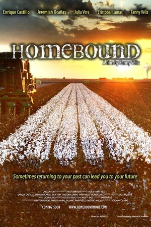 Watch Free Homebound (2013)