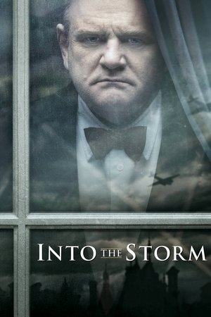 Watch Free The Storm (2009)