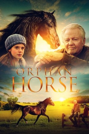 Watch Free Orphan Horse (2018)