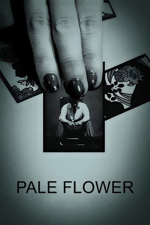 Watch Free Pale Flower (1964)