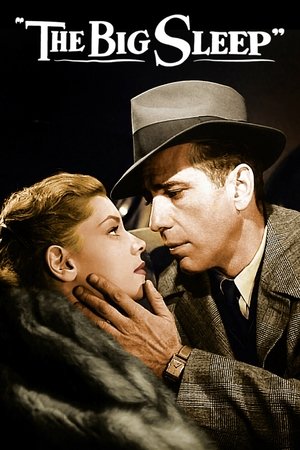 Watch Free The Big Sleep (1946)