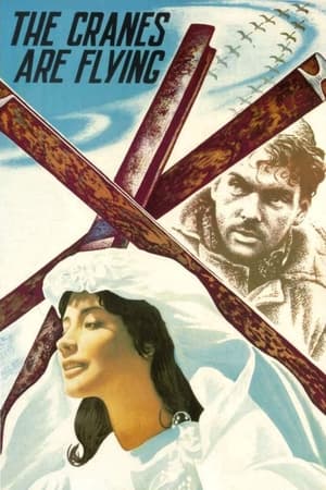 Watch Free The Cranes Are Flying (1957)