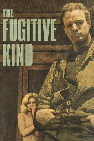Watch Free The Fugitive Kind (1960)
