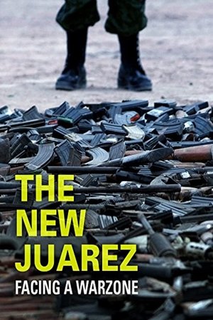 Watch Free The New Juarez (2012)
