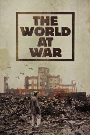 Watch Free The World at War (19731976)