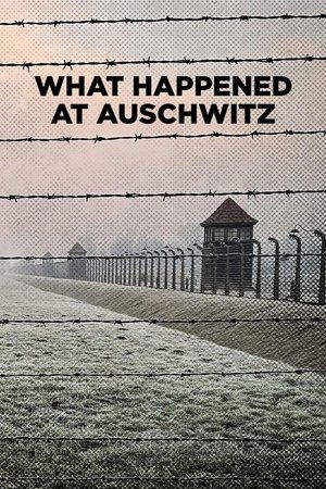 Watch Free What Happened at Auschwitz (2025)