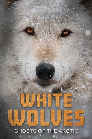 Watch Free White Wolves: Ghosts of the Arctic (2017)
