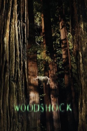 Watch Free Woodshock (2017)