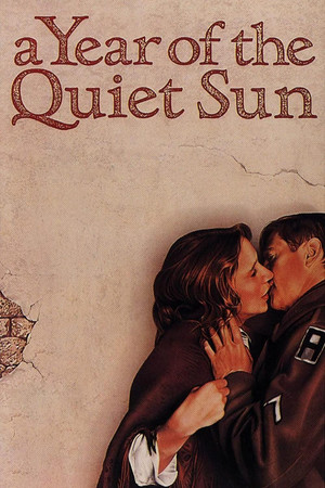 Watch Free A Year of the Quiet Sun (1984)
