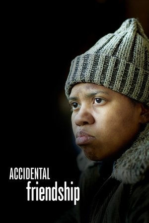 Watch Free Accidental Friendship (2008)