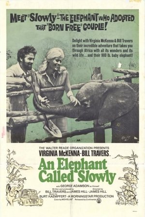 Watch Free An Elephant Called Slowly (1970)