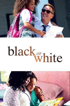 Watch Free Black or White (2015)
