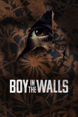 Watch Free Boy in the Walls (2023)