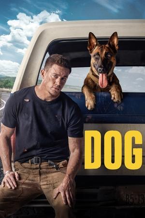 Watch Free Dog (2022)