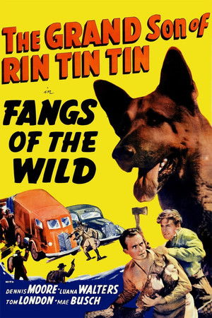 Watch Free Fangs of the Wild (1939)
