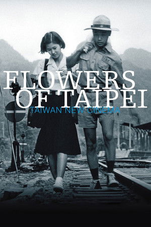 Watch Free Flowers of Taipei: Taiwan New Cinema (2014)