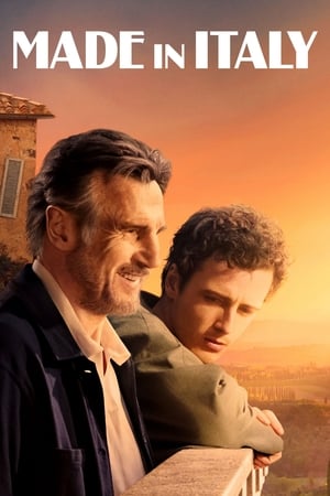 Watch Free Made in Italy (2020)