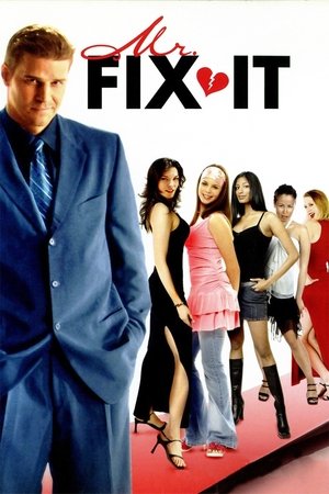 Watch Free Mr. Fix It (2006)