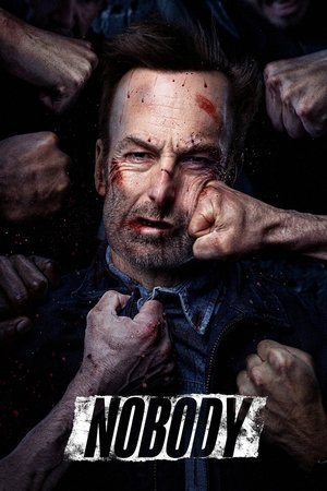 Watch Free Nobody (2021)