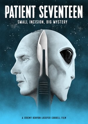 Watch Free Patient Seventeen (2017)