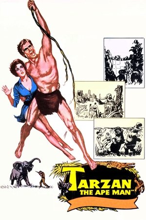 Watch Free Tarzan, the Ape Man (1959)