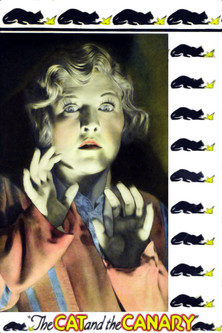 Watch Free The Cat and the Canary (1927)