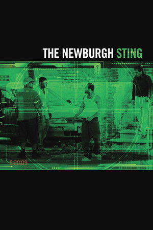 Watch Free The Newburgh Sting (2014)
