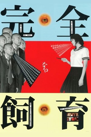 Watch Free The Perfect Education (1999)